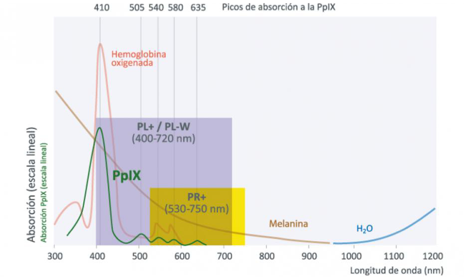 IPL Ellipse • Clínica Segarra Vidal - tratamientos de la piel dañada IPL Ellipse • Clínica Segarra Vidal - tratamientos de la piel dañada